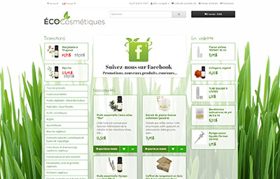 Exemples boutiques en ligne