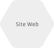 Site web